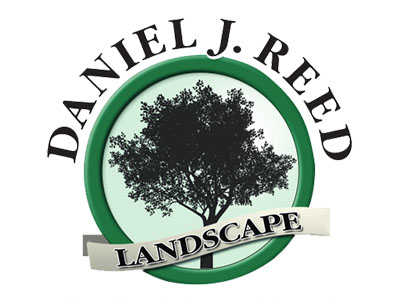 Daniel J Reed Landscape Image