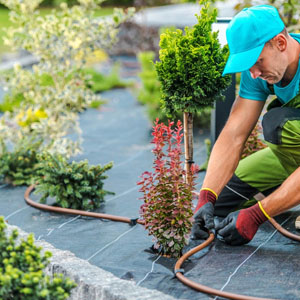 Top 10 Residential Lanscaping Companies in Harrisburg Pennsylvania